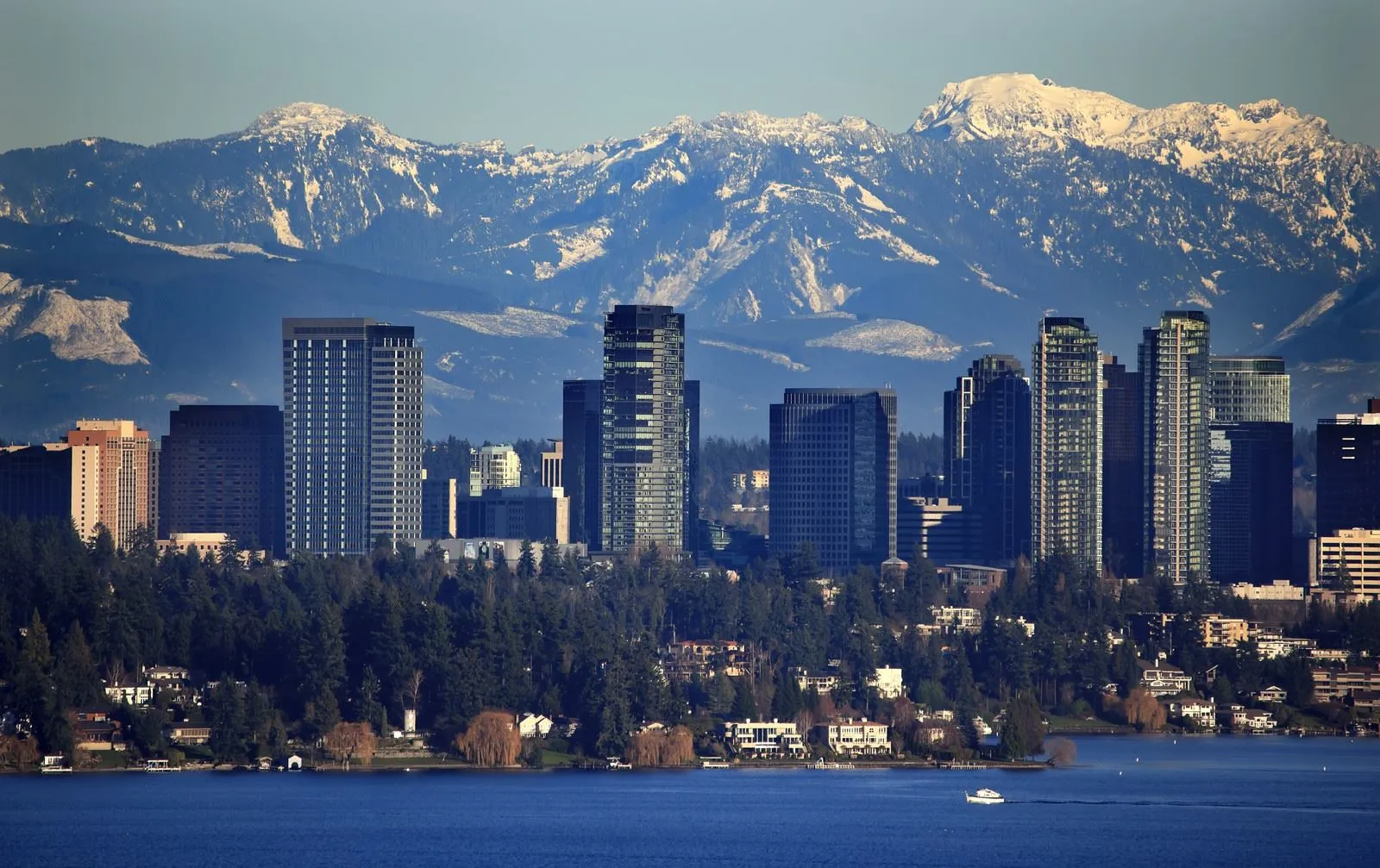 Fast, simple, and stress-free moves for families and businesses across Bellevue, WA