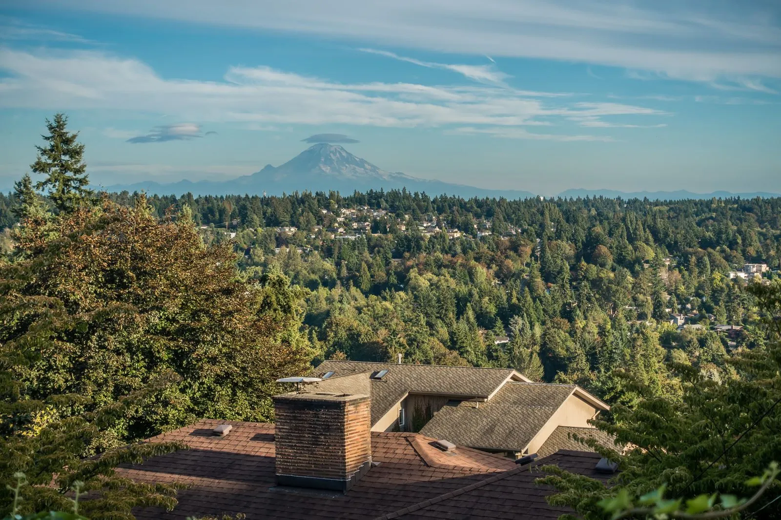 Making moves simple, fast, and stress-free for families and businesses across Kent, WA
